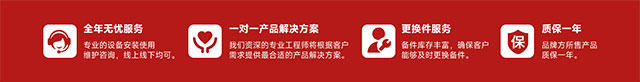 揚子升降機服務